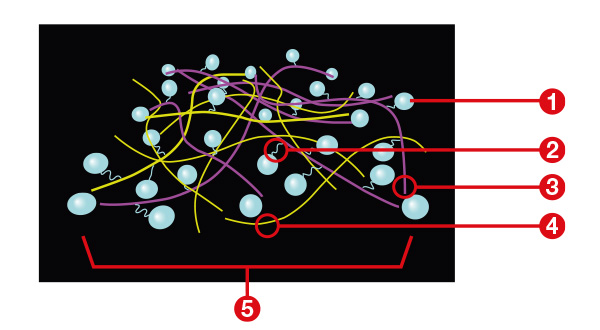 G061-Compound-Technology.jpg