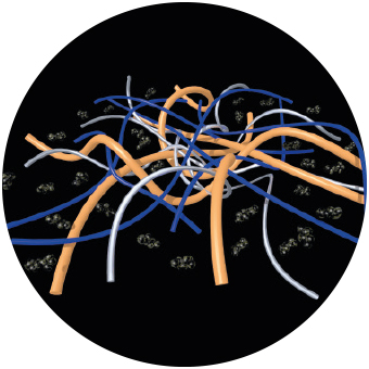 g005_compound_technology_compound_structure.jpg