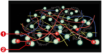 v107_special_new_compound.jpg