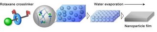 Nanoparticle film formation process